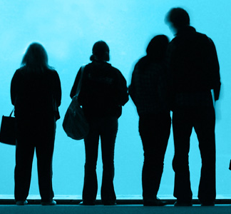 Menschen von hinten, es sind nur ihre Umrisse zu erkennen. Die Umrisse sind schwarz, der Hintergrund blau