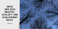 Links der Psalm 121, rechts Bäume von unten fotografiert, die Äste tragen keine Blätter, der Himmel ist dunkelblau.